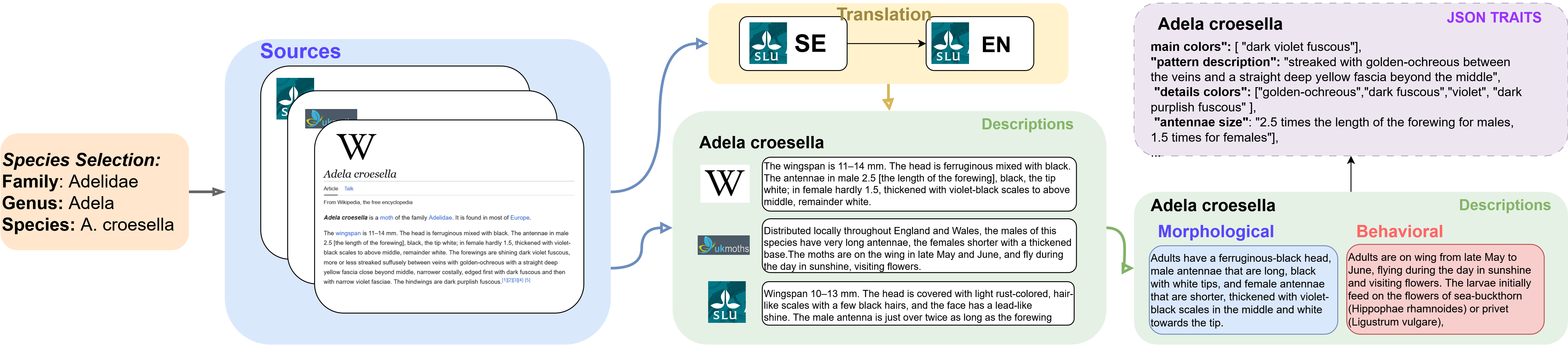 An example of our method